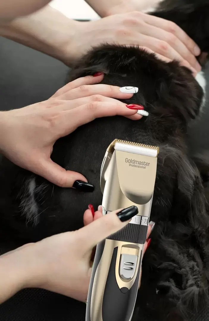 Masina de tuns animale de companie Goldmaster PATI GM-8182 (Black/Gold)