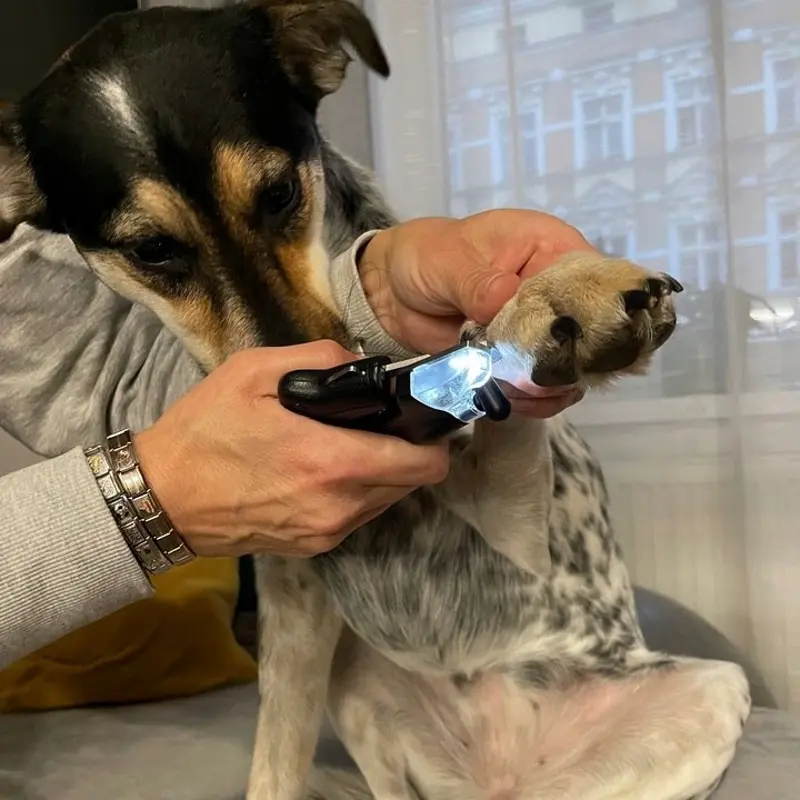 Машинка для стрижки когтей Purlov 24739 (Black)