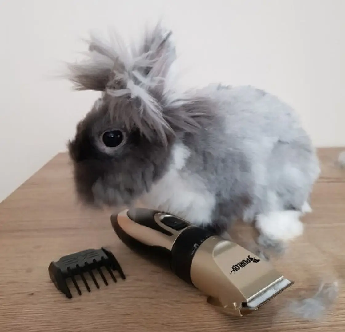 Masina de tuns animale de companie Purlov 24089 Set