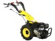 Motocultor Progarden Campo U16E + freza FT90