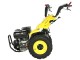 Motocultor Progarden Campo U16E + freza FT90