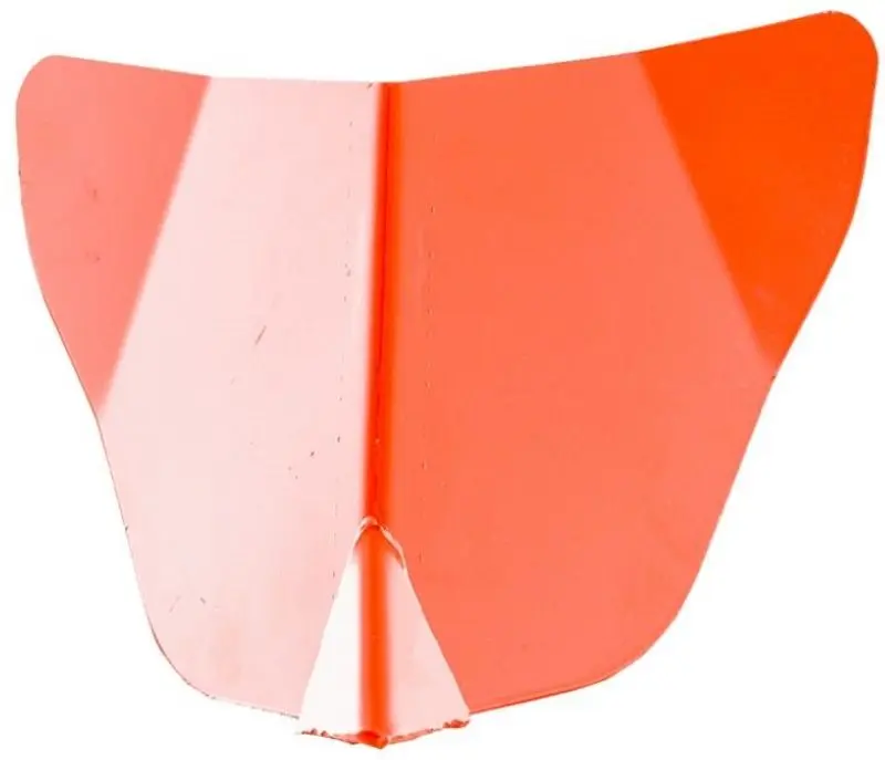 Rarita pentru motosapa Ruris TS 103