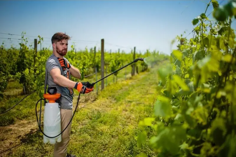 Pulverizator manual Villager Terra 5L - 3