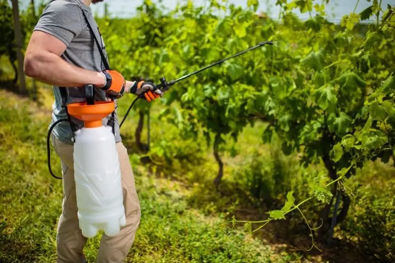 Pulverizator manual Villager Terra 5L - 2