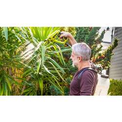 Pulverizator cu acumulator Zipper ZI-DS2V-AKKU Thumb