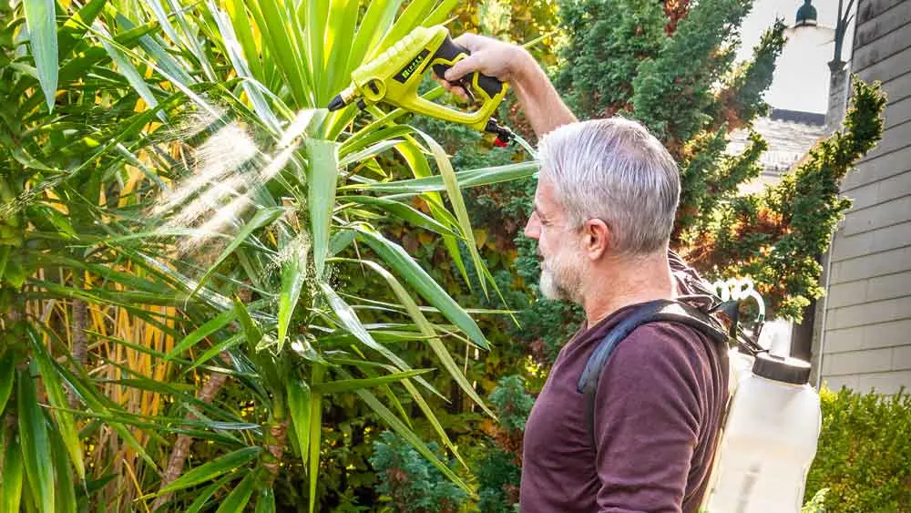 Pulverizator cu acumulator Zipper ZI-DS2V-AKKU