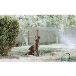 Aspersor de gradina Malatec 18318 10m Thumb