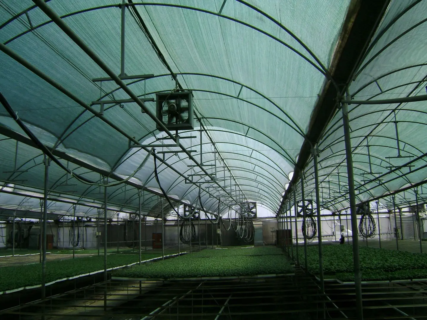 Сетка затеняющая Juta 90% 4x50 (Dark Green) - 4