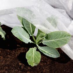 Агроволокно Greentech 50gr/m2 1.6x100m (White) Thumb