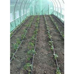 Тепличная пленка Tehno MS 1484 10x4x2.5m (Green) Thumb