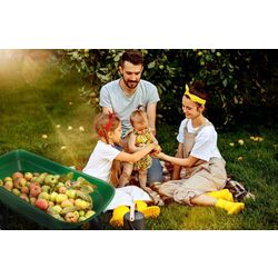 Roaba Humberg 4870 (Green) Thumb