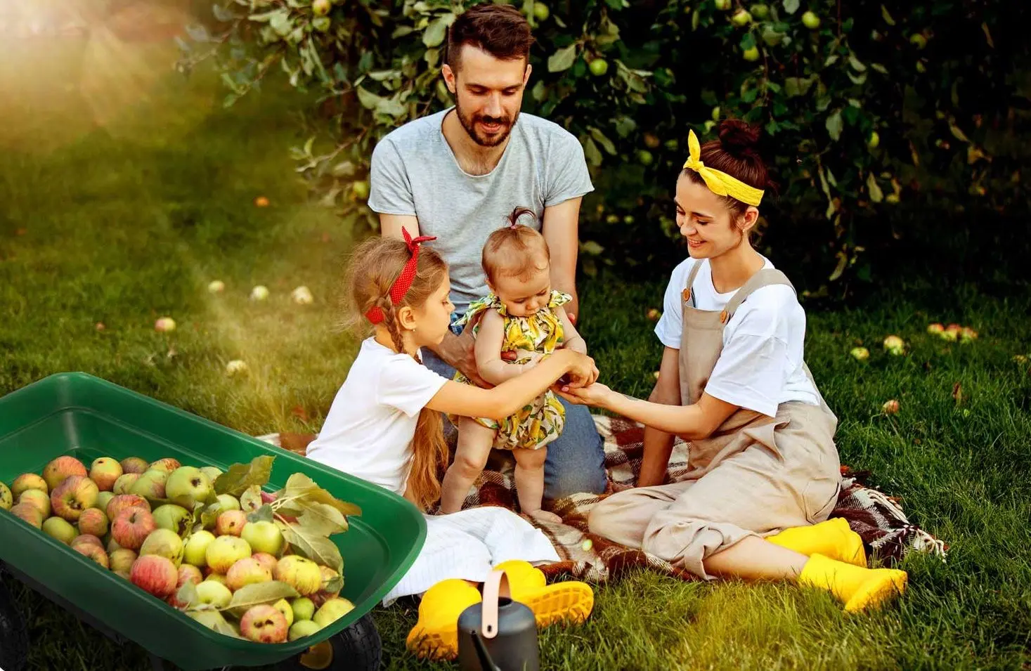 Roaba Humberg 4870 (Green)