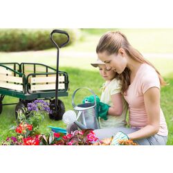 Carucior de gradina Waldbeck Ventura (Green) Thumb