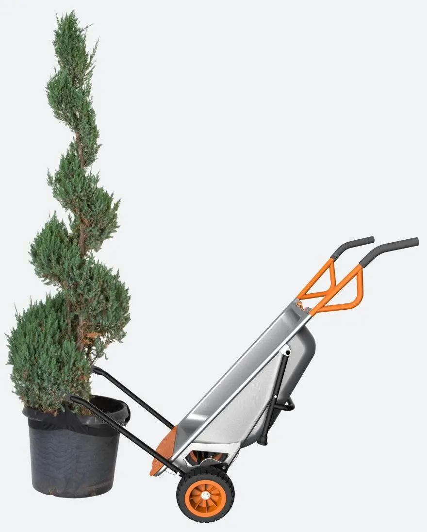 Roabă pentru grădină Worx WG050 (Silver)