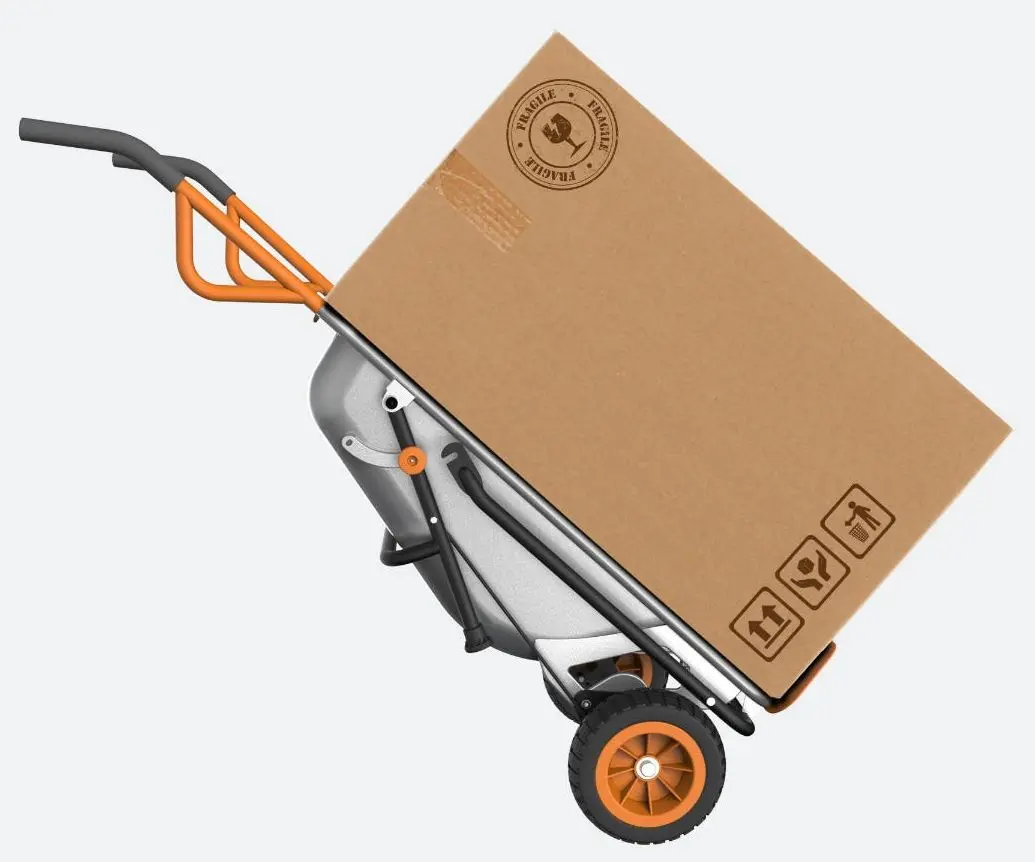 Roabă pentru grădină Worx WG050 (Silver)