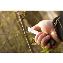 Окулировочный нож Cellfast 40-262 Thumb