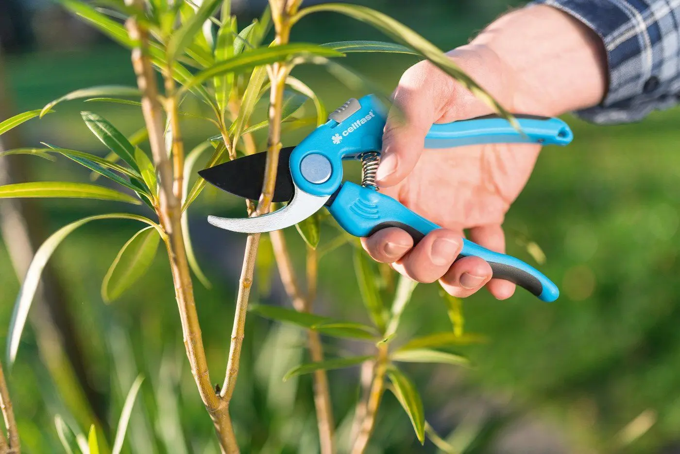 Секатор Cellfast Ideal 40-414 - 2