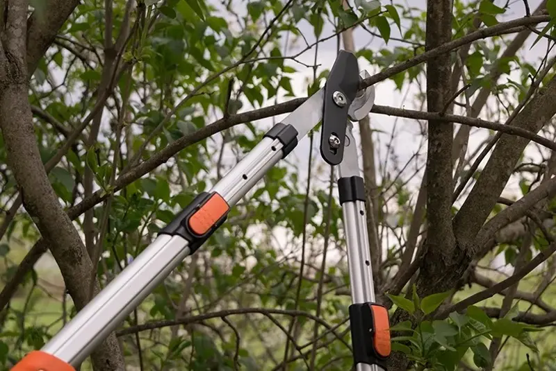 Foarfeca de gradina Daewoo DAHW-CAL103TL