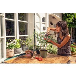 Foarfeca de gradina Gardena FreshCut Thumb