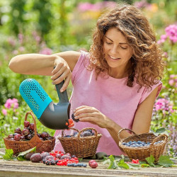 Culegator de fructe Gardena 17400-20 (Black/Blue) Thumb