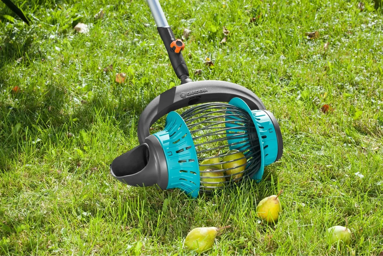 Culegator de fructe Gardena 3108-20 (Black/Blue)