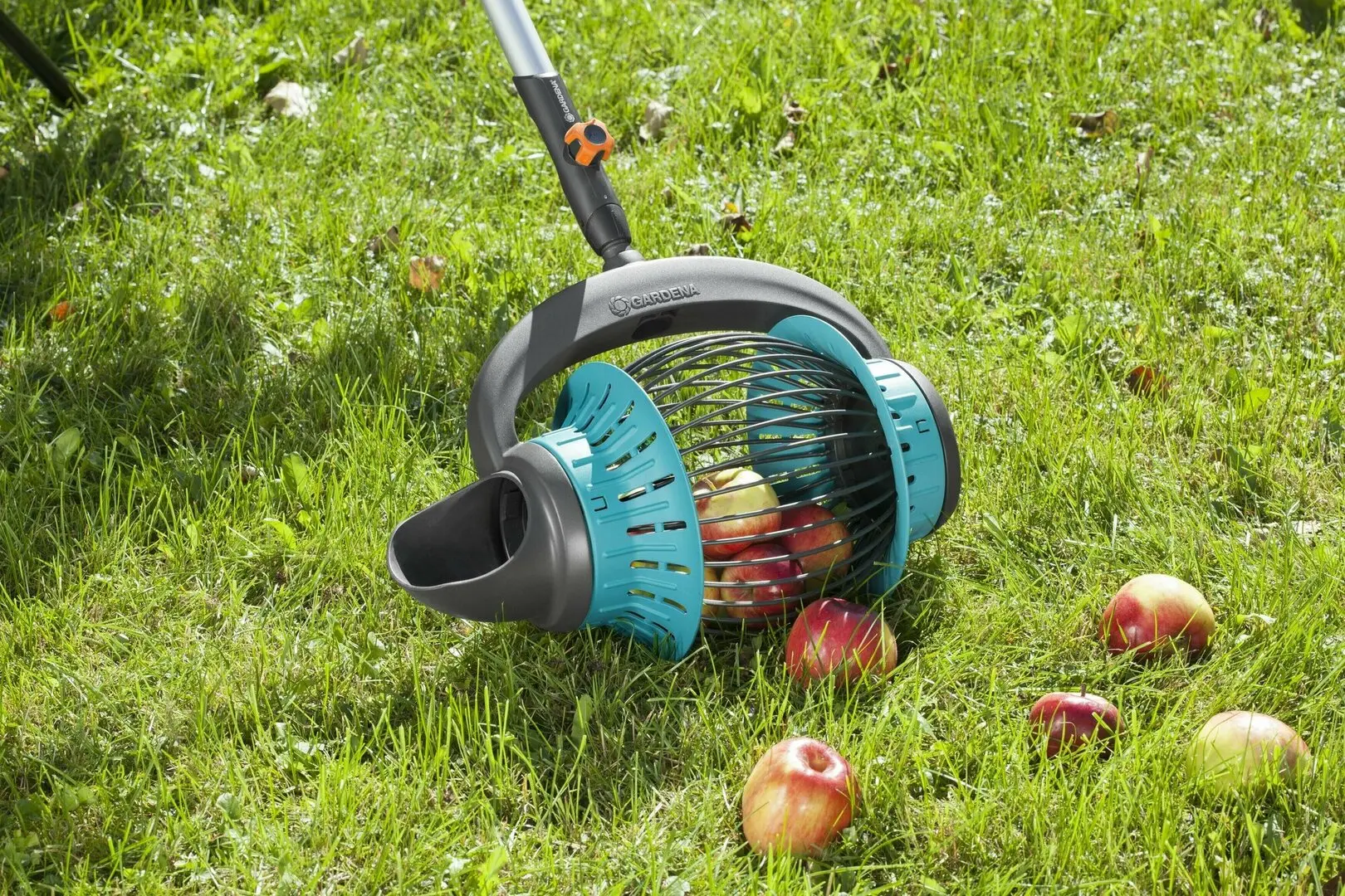 Culegator de fructe Gardena 3108-20 (Black/Blue)