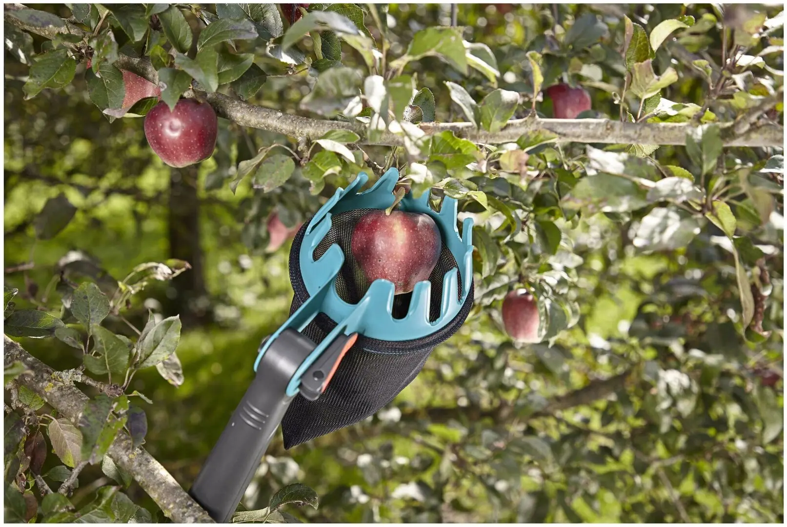 Culegator de fructe Gardena 3115-20 (Black/Blue)