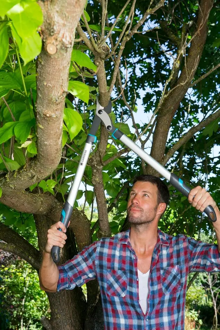 Foarfeca de gradina Gardena EnergyCut 750 B