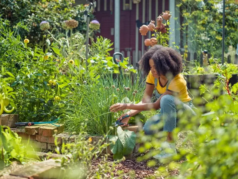 Foarfeca de gradina Gardena ExpertCut