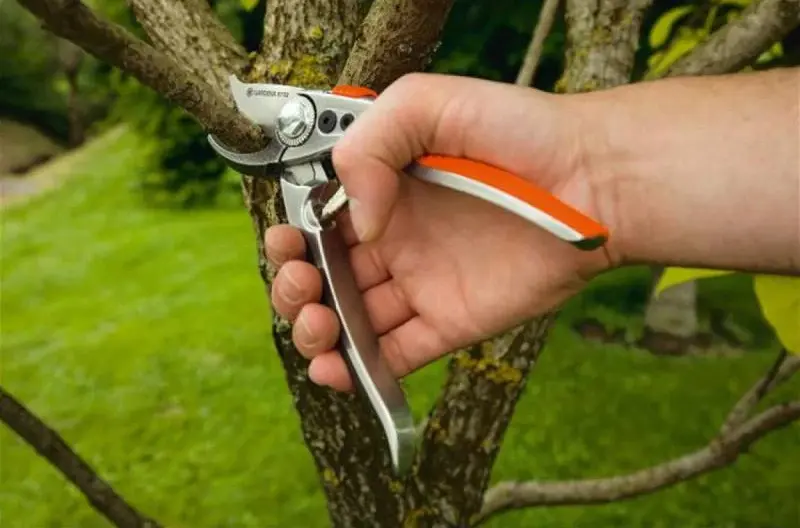 Foarfeca de gradina Gardena Premium BP50/21