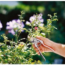 Foarfeca de gradina Gardena Premium BP50/21 Thumb