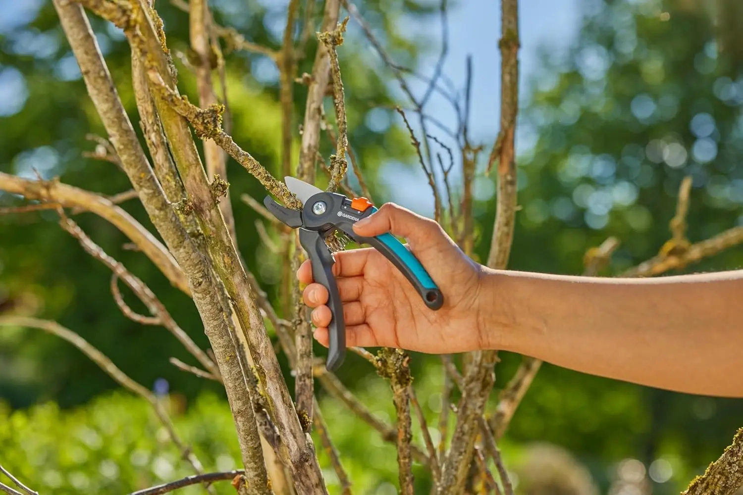 Foarfeca de gradina Gardena PremiumCut (Blue/Grey)