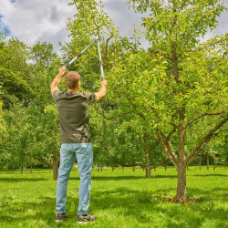 Foarfeca pentru crengi Gardena EnergyCut Basic (Blue/Grey) Thumb