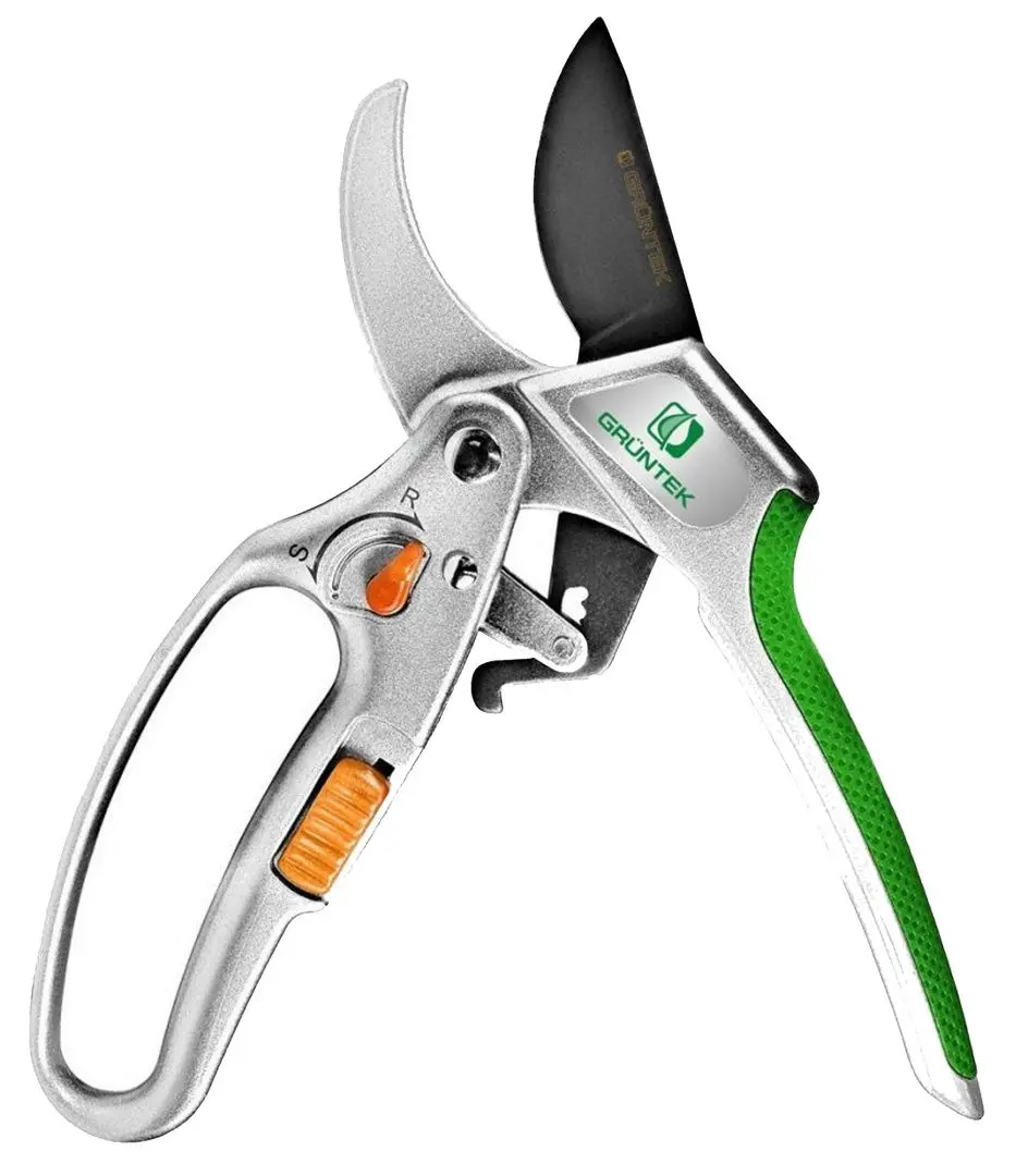 Foarfece de gradina Gruntek Kakadu 295205202 (Inox/Green)