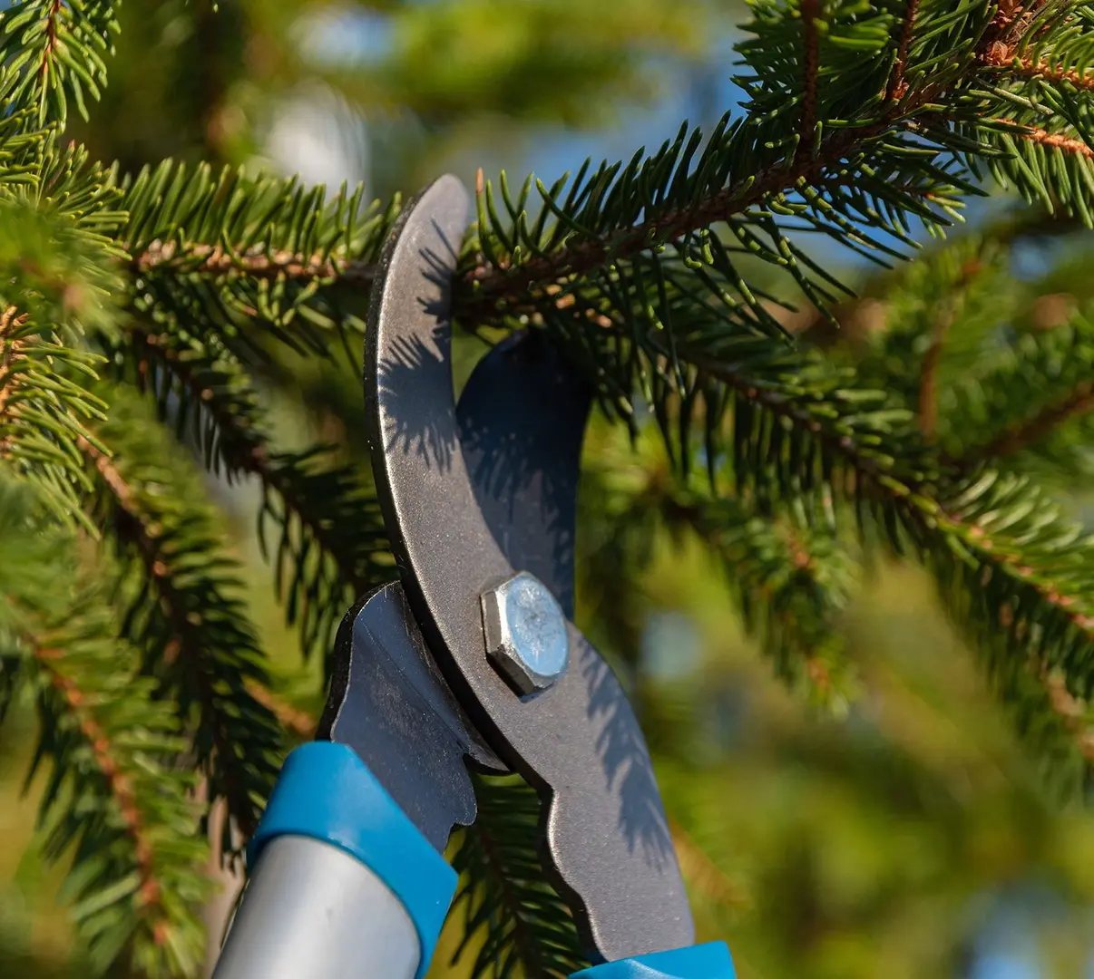 Foarfeca de gradina Hyundai HY-58042