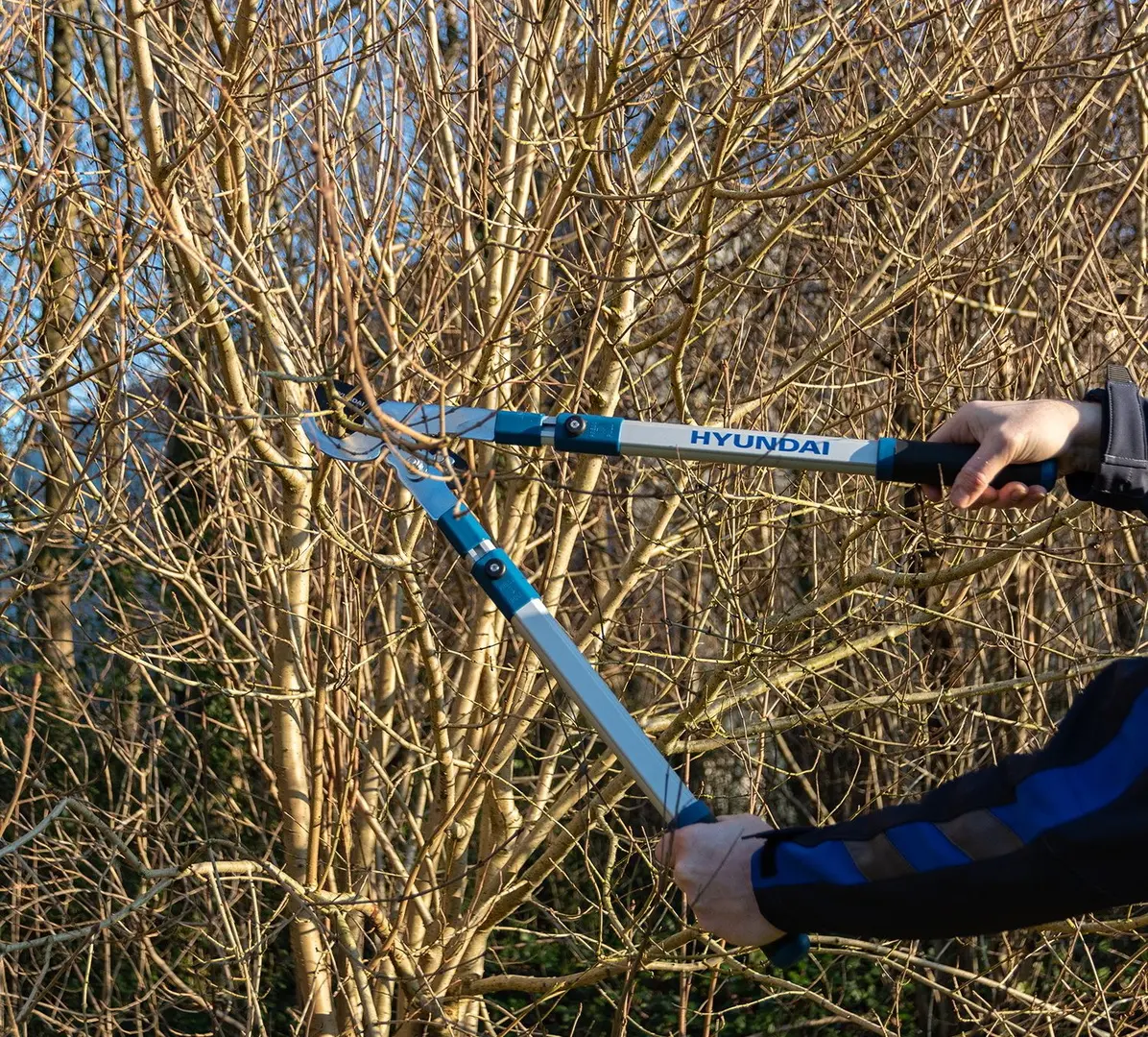 Foarfeca de gradina Hyundai HY-58045