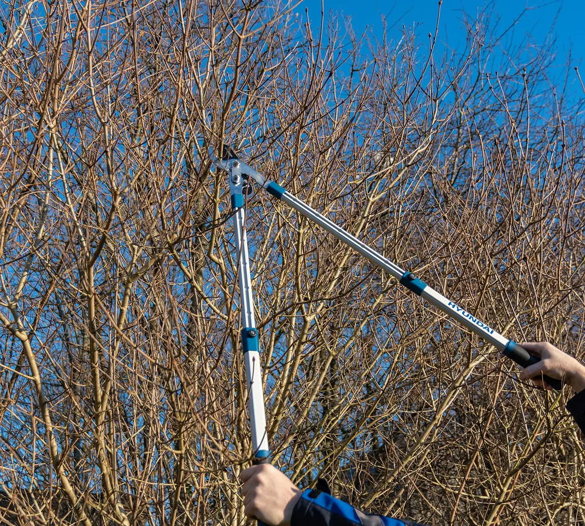 Foarfeca de gradina Hyundai HY-58045