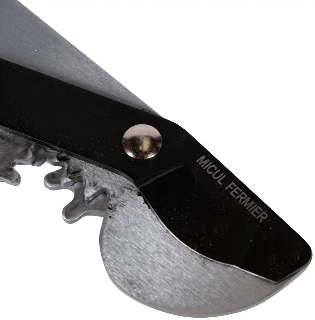 Садовые ножницы Micul Fermier MF-UG3004-S001-G01 (White)