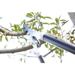 Foarfeca de gradina Total Tools THT1527608 Thumb