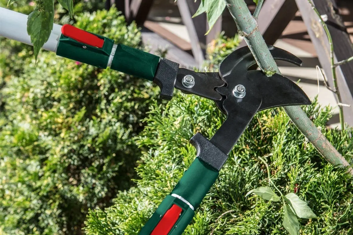 Секатор-сучкорез Verto 15G253 (Green)