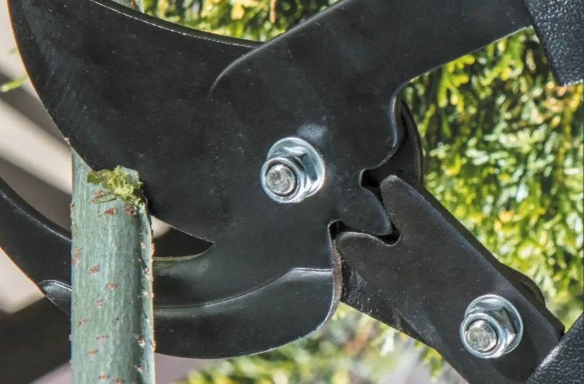 Секатор-сучкорез Verto 15G253 (Green)