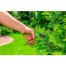 Foarfeca de gradina Verto 15G205 (Green) Thumb