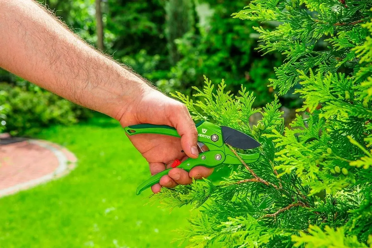 Foarfeca de gradina Verto 15G205 (Green)