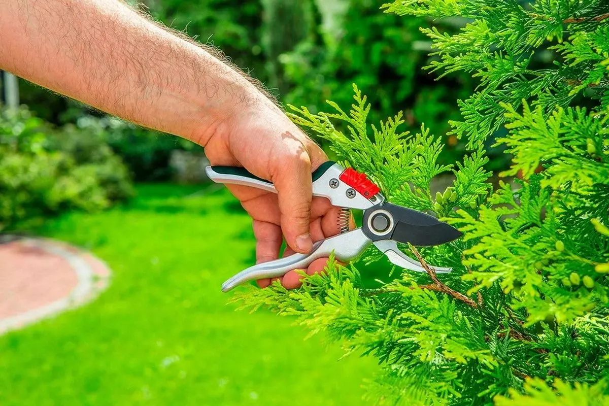 Foarfeca de gradina Verto 15G206 (Green/Silver)