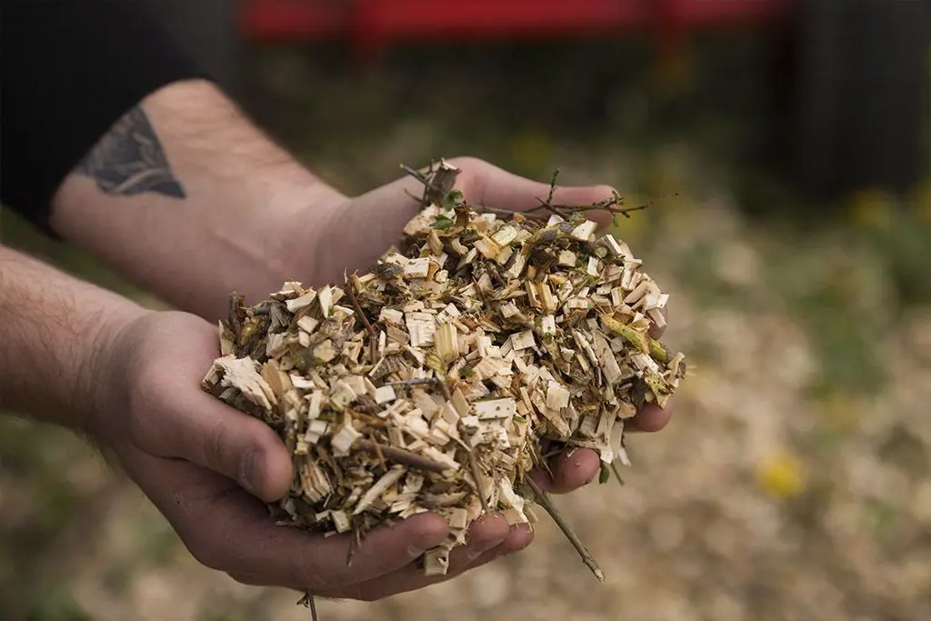 Tocator de crengi Arpal MB-60BD (Red/White)