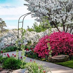 Садовая арка GardenLine PERG-N6078 (Black) Thumb