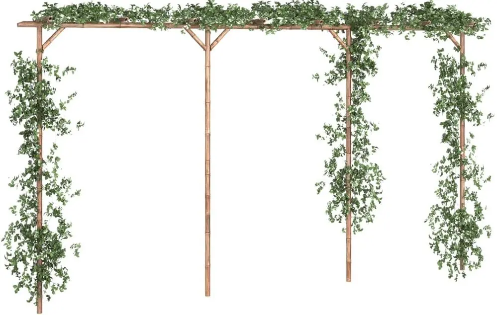 Pergola VidaXL 341747 (Bamboo)