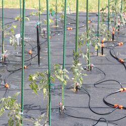 Controler irigatii Chomik RIG5157 (Orange) Thumb