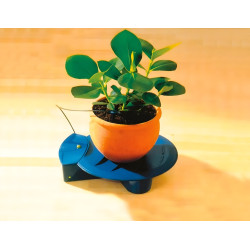 Sistem de udare automata pentru flori Ferrari Group 38391 Thumb