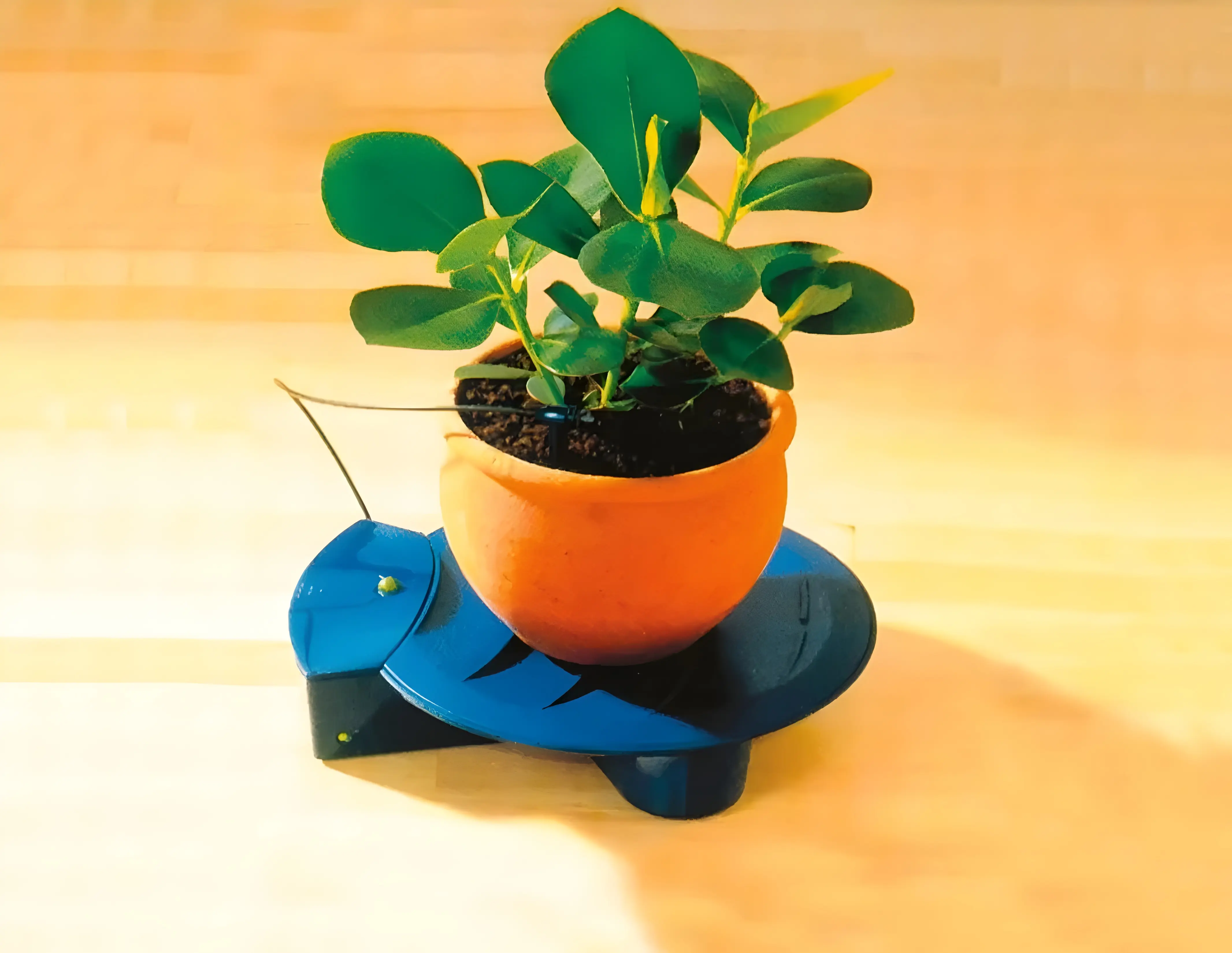 Sistem de udare automata pentru flori Ferrari Group 38391